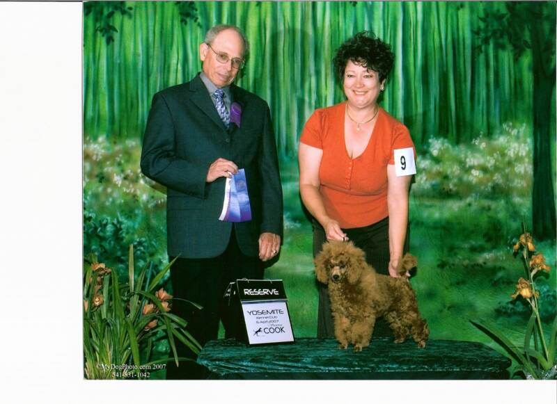 show picture